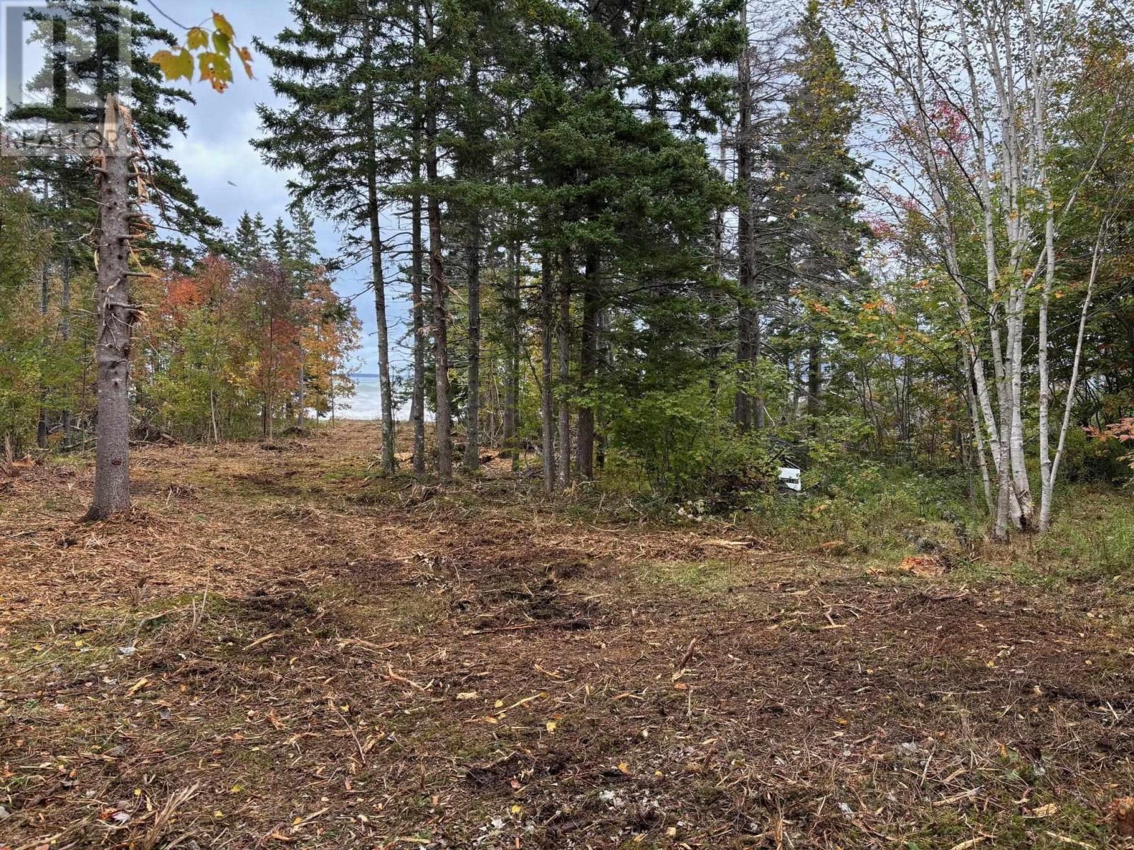 Lot 2-24 Cabot Trail Property Photo 21