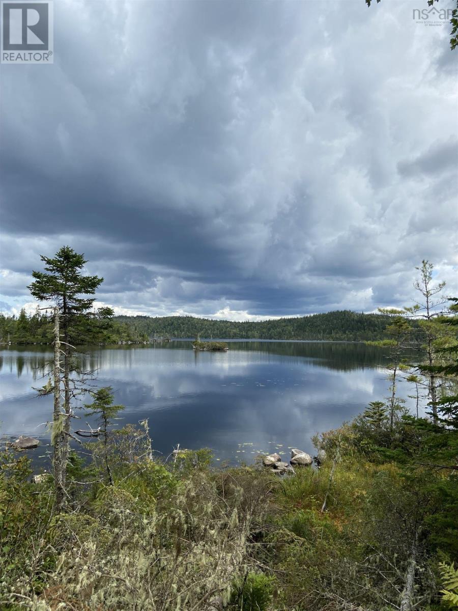 Lot 8c Longbridge Lake Property Photo 1