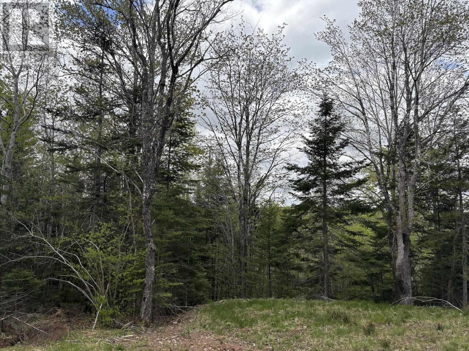 Lot 4 Highway 14