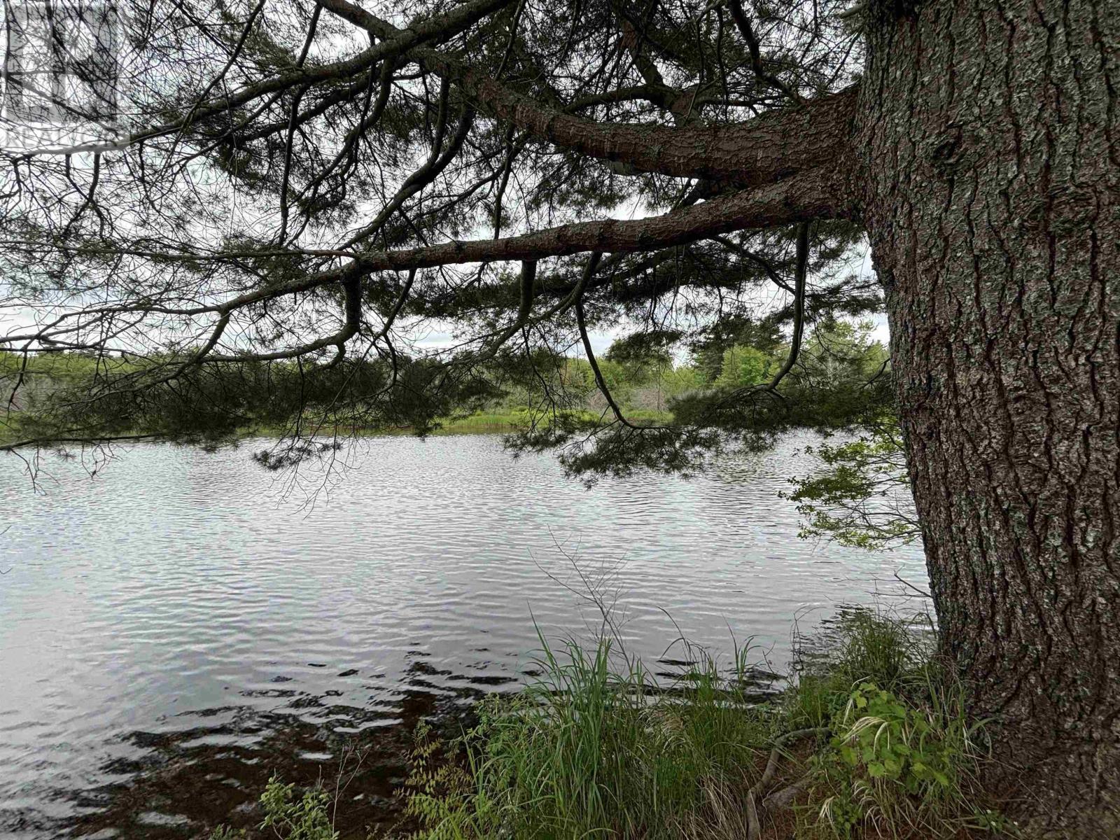 109 Highway 2 Property Photo 41