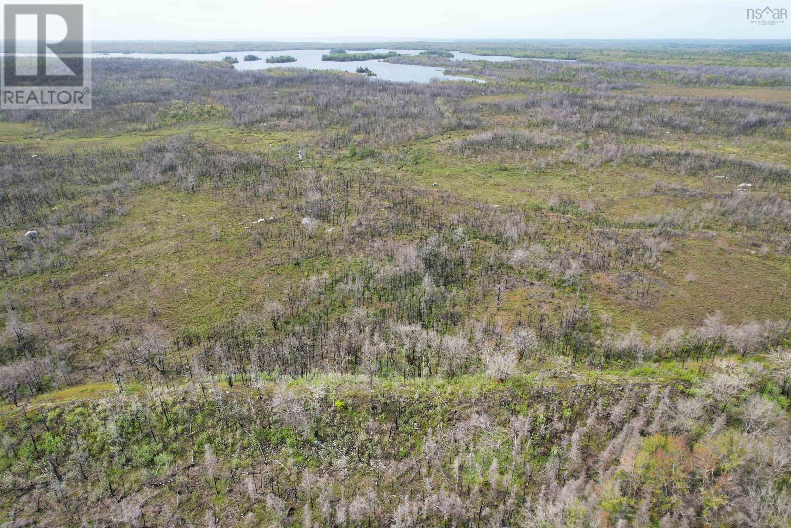 Lot 1 Goose Lake Road Property Photo 6