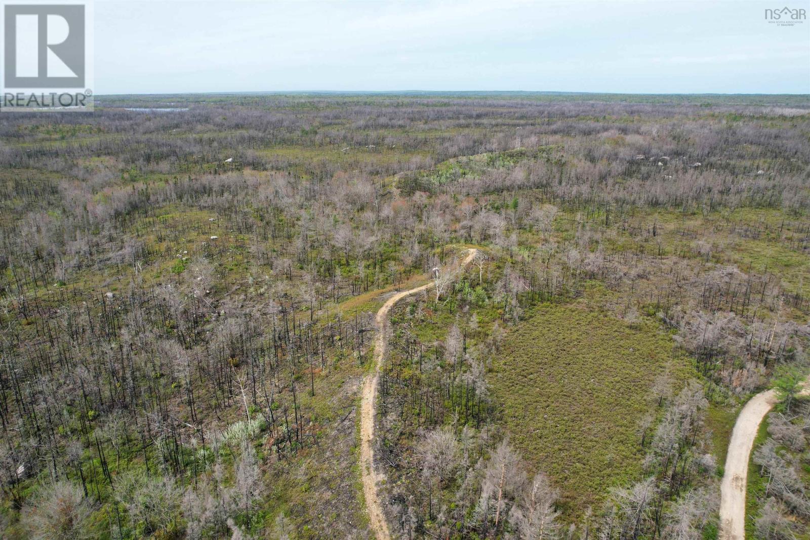 Lot 1 Goose Lake Road Property Photo 12