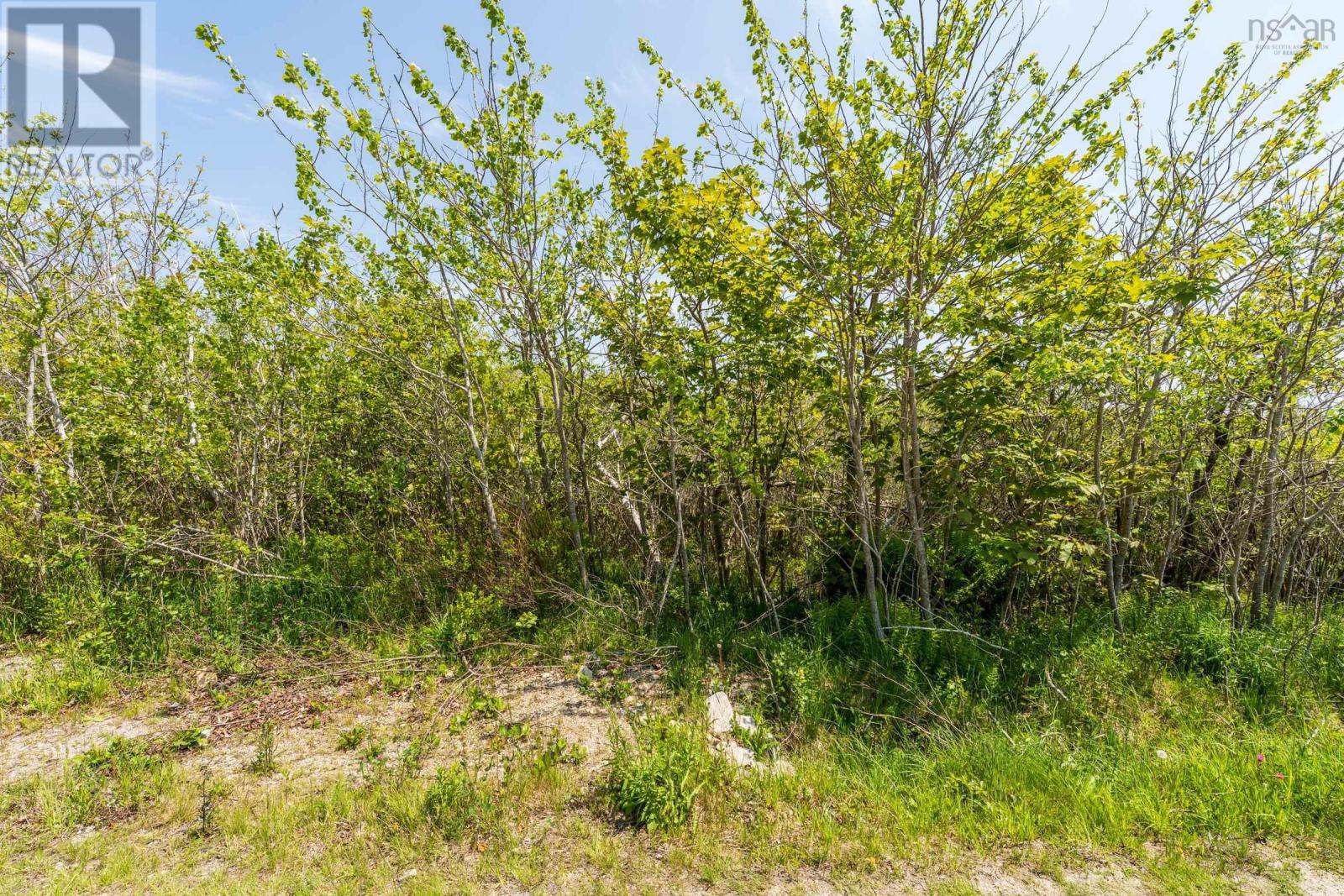 Lot 2 3 Highway Property Photo 5