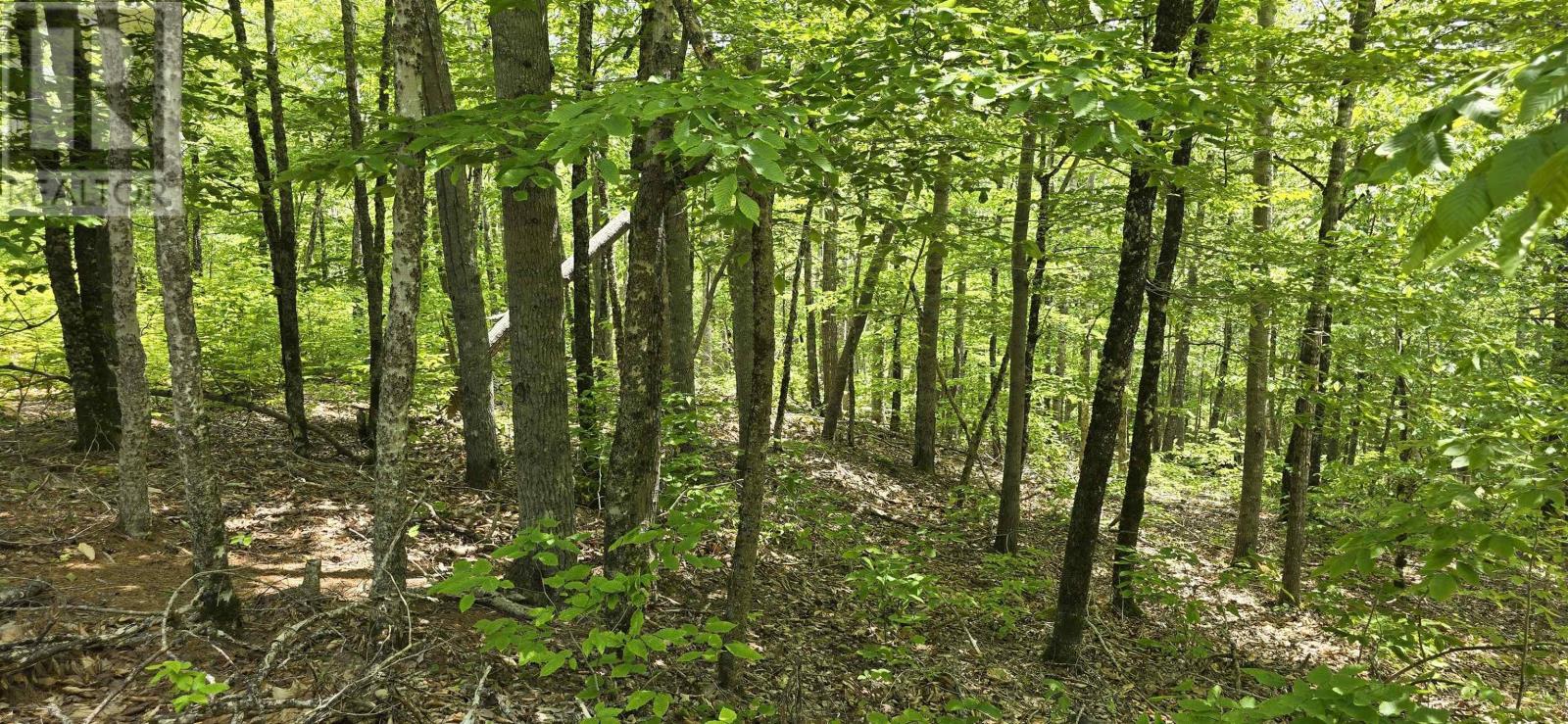 Lot 24-2 East Clifford Road Property Photo 6