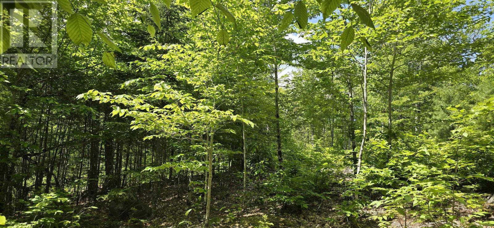 Lot 24-2 East Clifford Road Property Photo 8