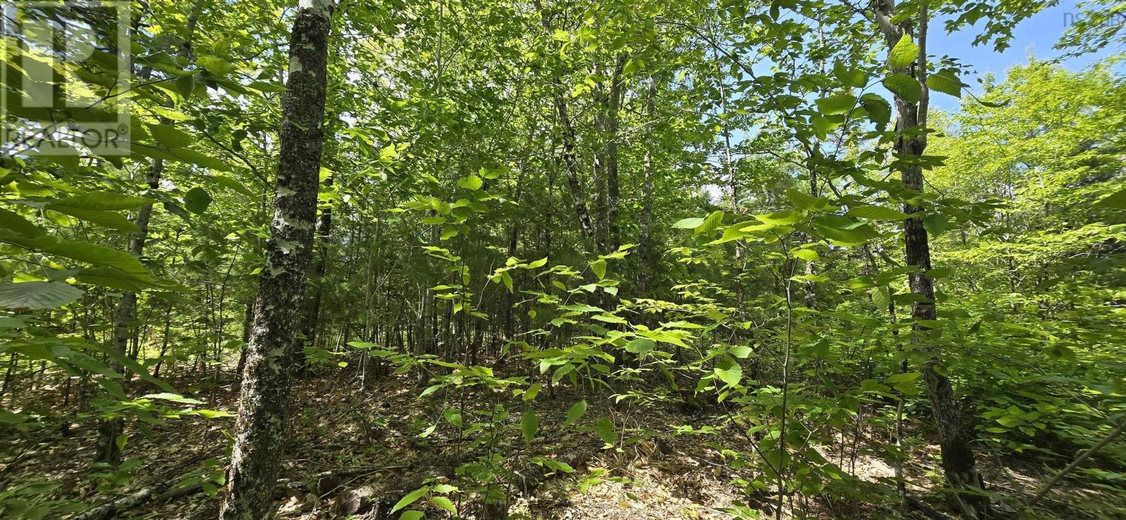 Lot 24-2 East Clifford Road Property Photo 11