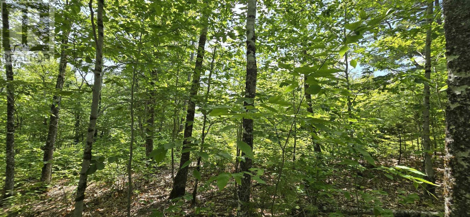 Lot 24-2 East Clifford Road Property Photo 12