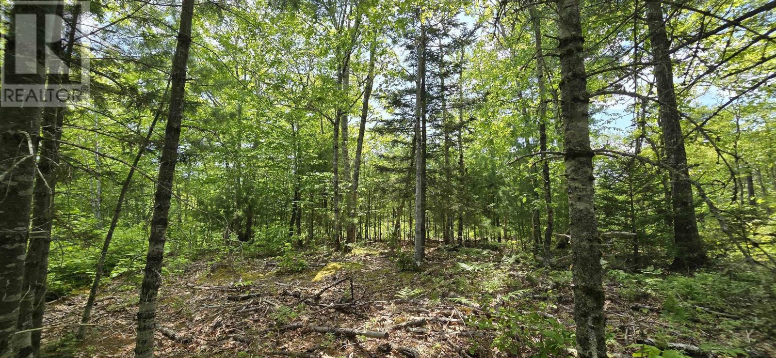 Lot 24-2 East Clifford Road Property Photo 16
