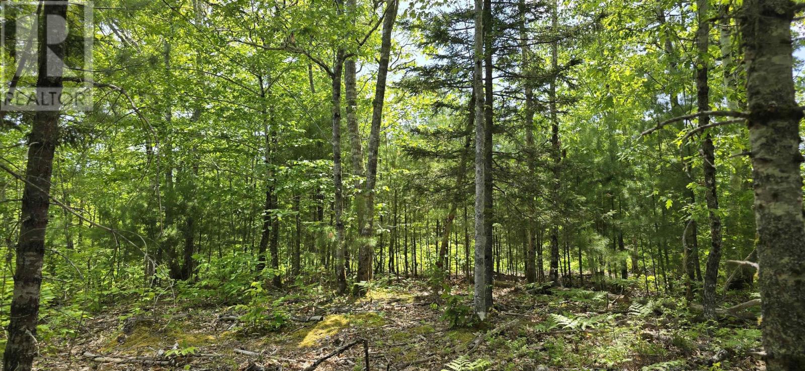 Lot 24-2 East Clifford Road Property Photo 17