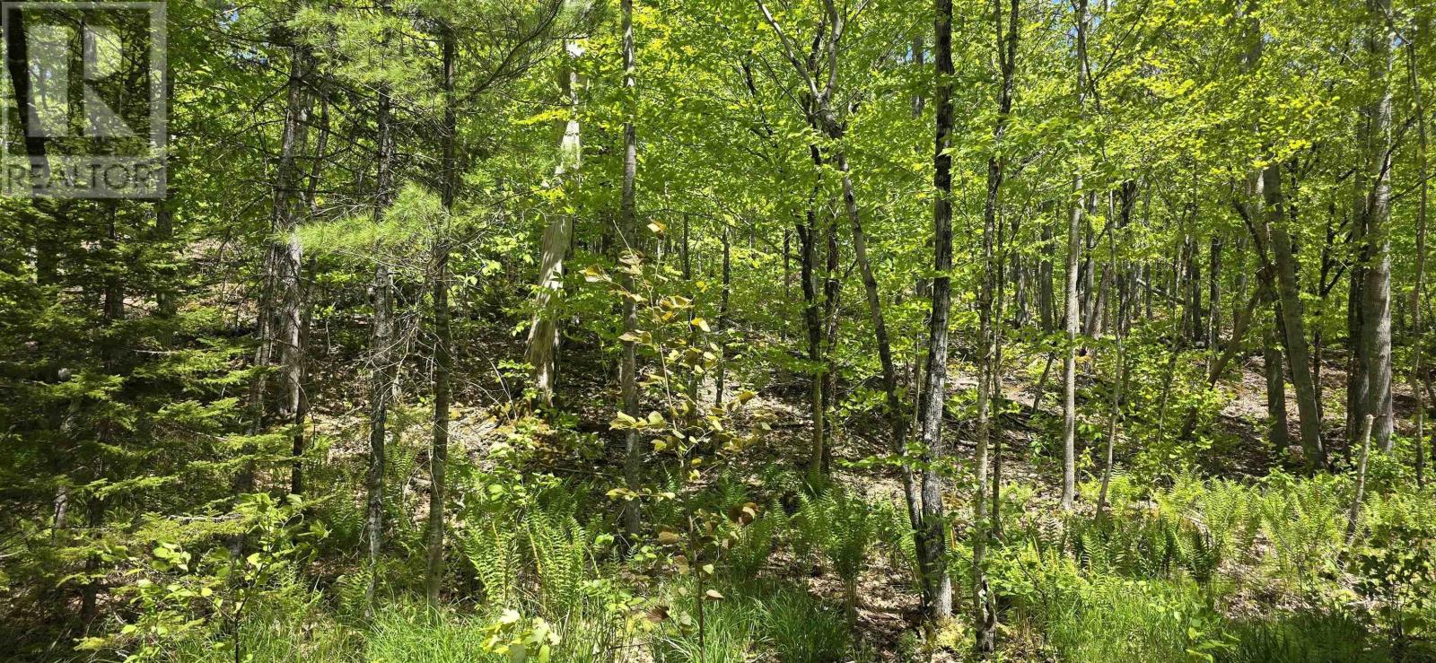 Lot 24-2 East Clifford Road Property Photo 19
