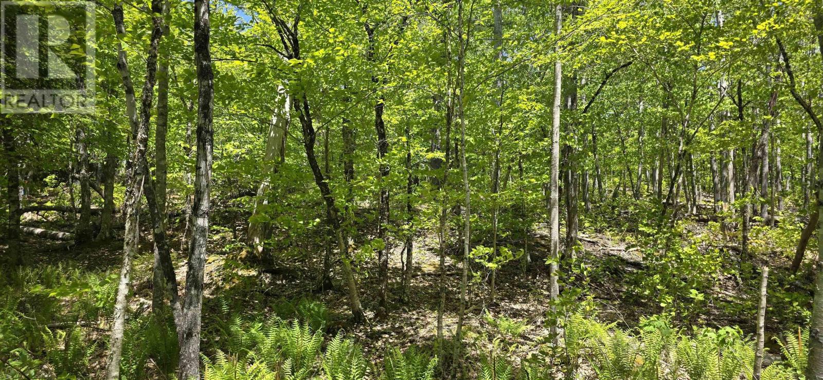 Lot 24-2 East Clifford Road Property Photo 20