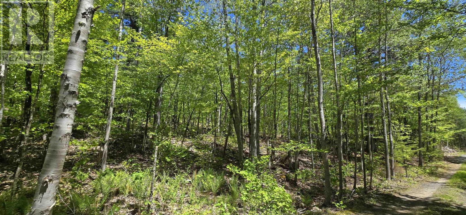 Lot 24-2 East Clifford Road Property Photo 21
