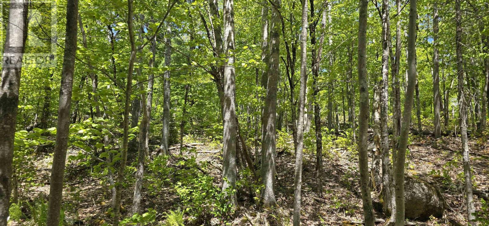 Lot 24-2 East Clifford Road Property Photo 22
