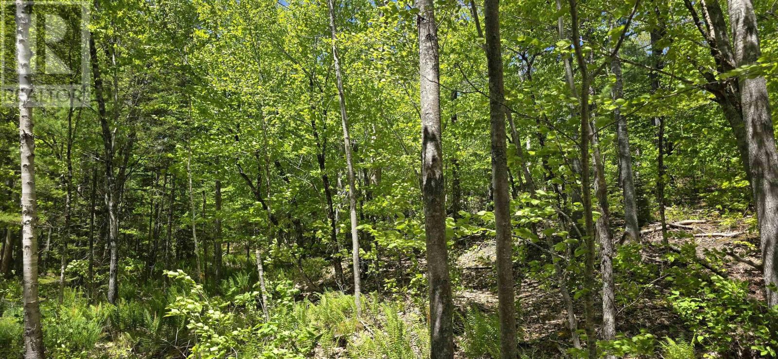 Lot 24-2 East Clifford Road Property Photo 23