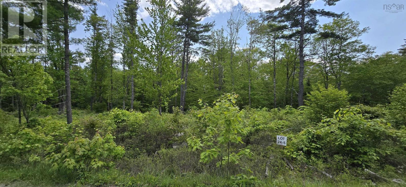 Lot 24-5 East Clifford Road Property Photo 3