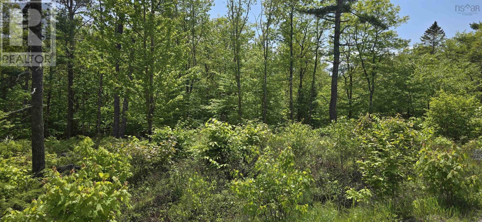 Lot 24-5 East Clifford Road Property Photo 6