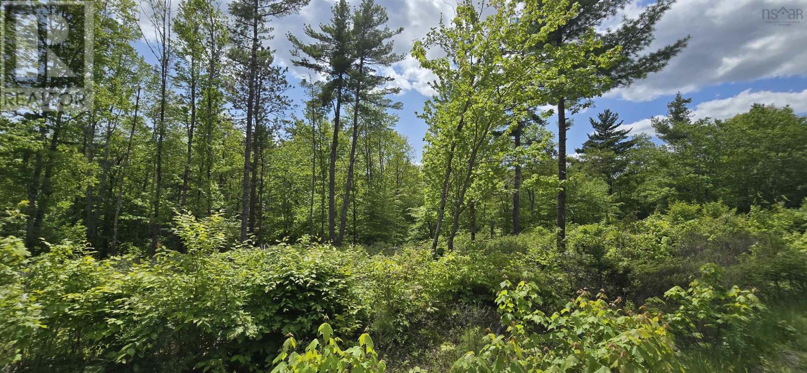 Lot 24-5 East Clifford Road Property Photo 8