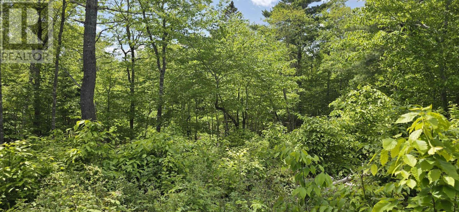 Lot 24-5 East Clifford Road Property Photo 10