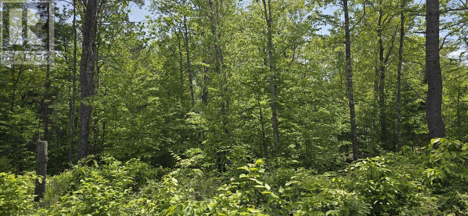 Lot 24-5 East Clifford Road Property Photo 11