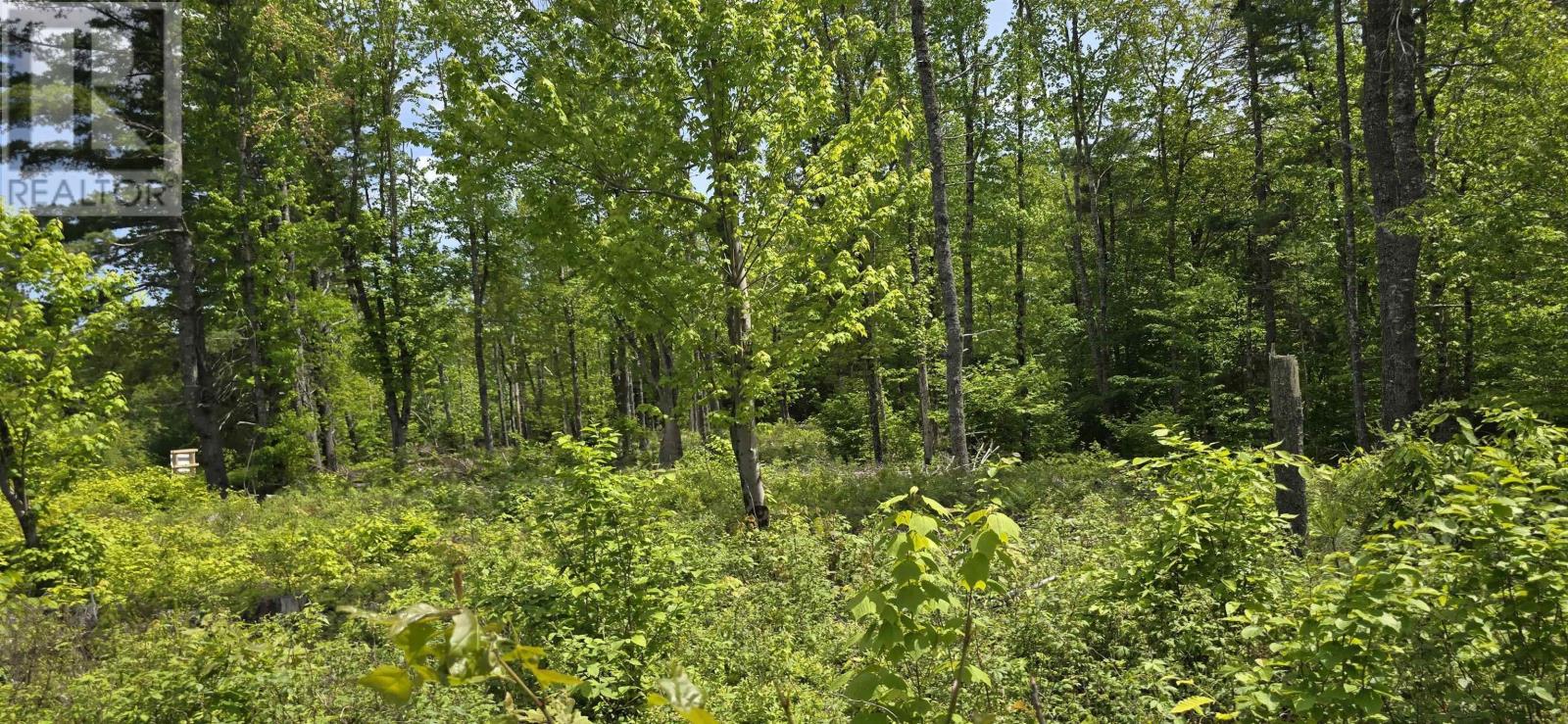 Lot 24-5 East Clifford Road Property Photo 12