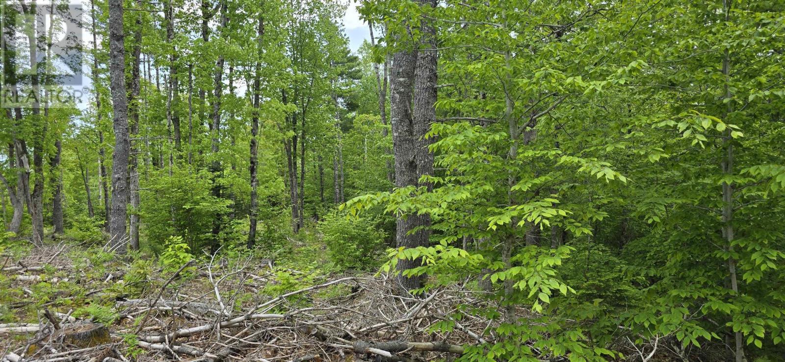 Lot 24-5 East Clifford Road Property Photo 14