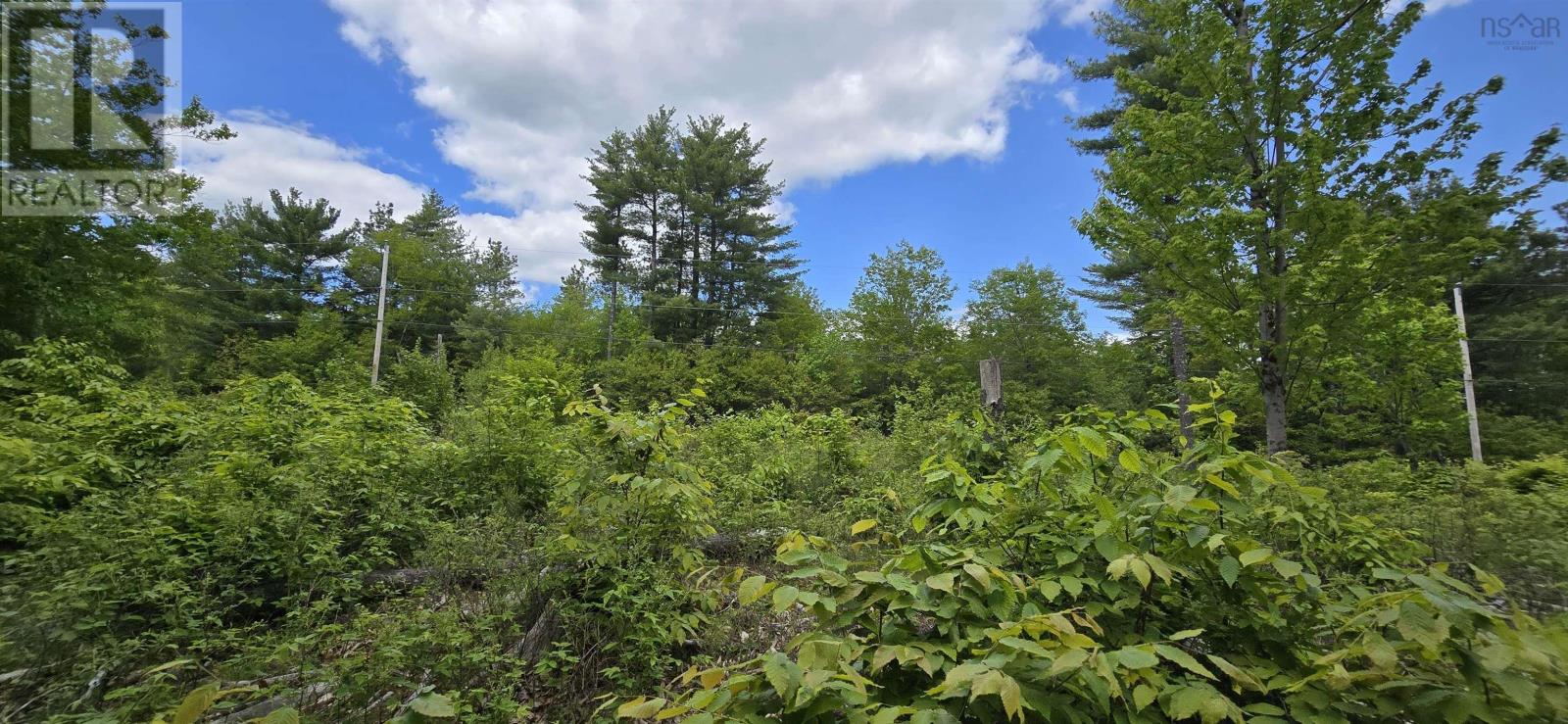 Lot 24-5 East Clifford Road Property Photo 15