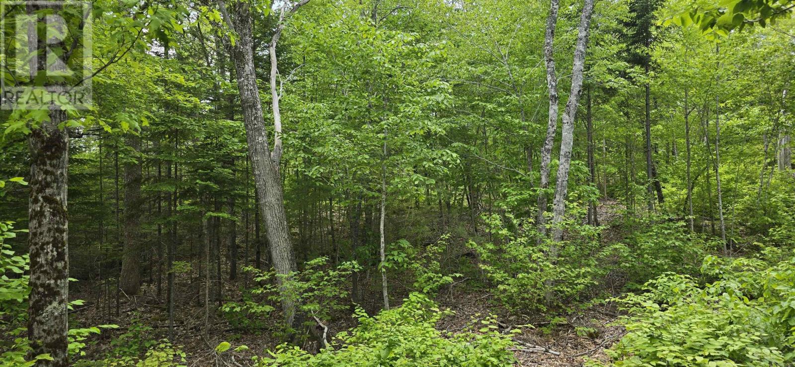 Lot 24-5 East Clifford Road Property Photo 16