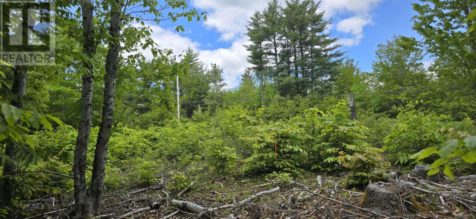Lot 24-5 East Clifford Road Property Photo 17