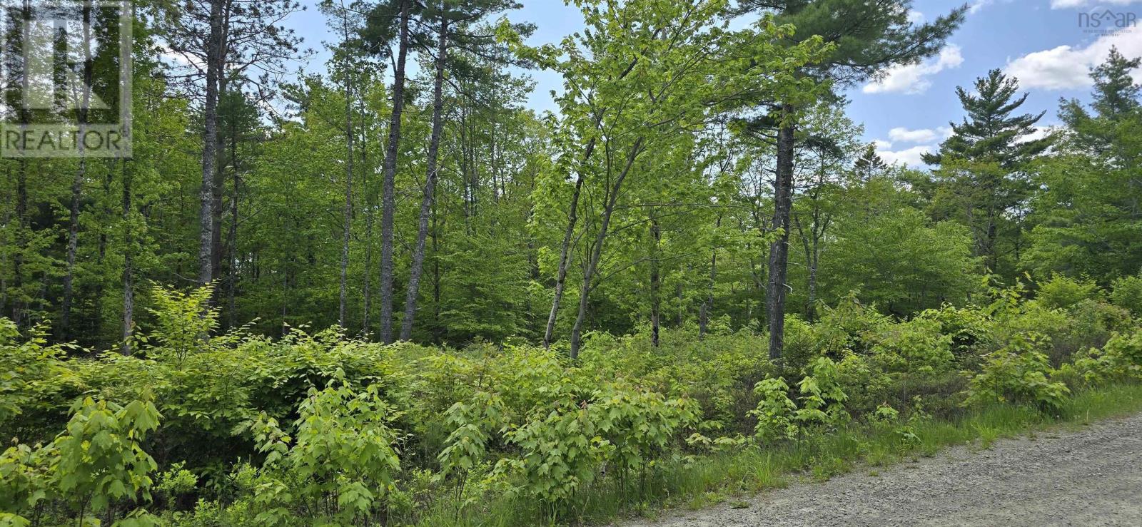 Lot 24-5 East Clifford Road Property Photo 18