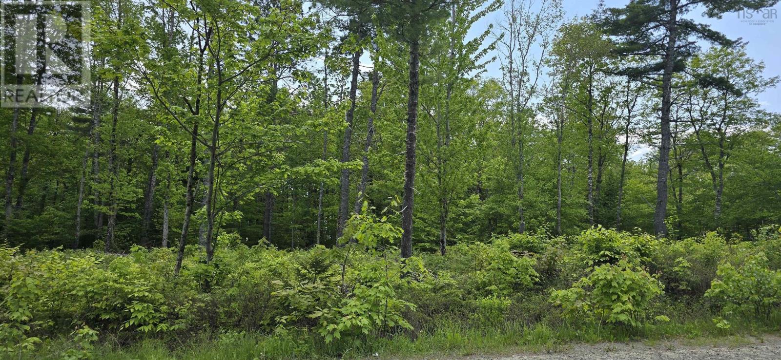 Lot 24-5 East Clifford Road Property Photo 19
