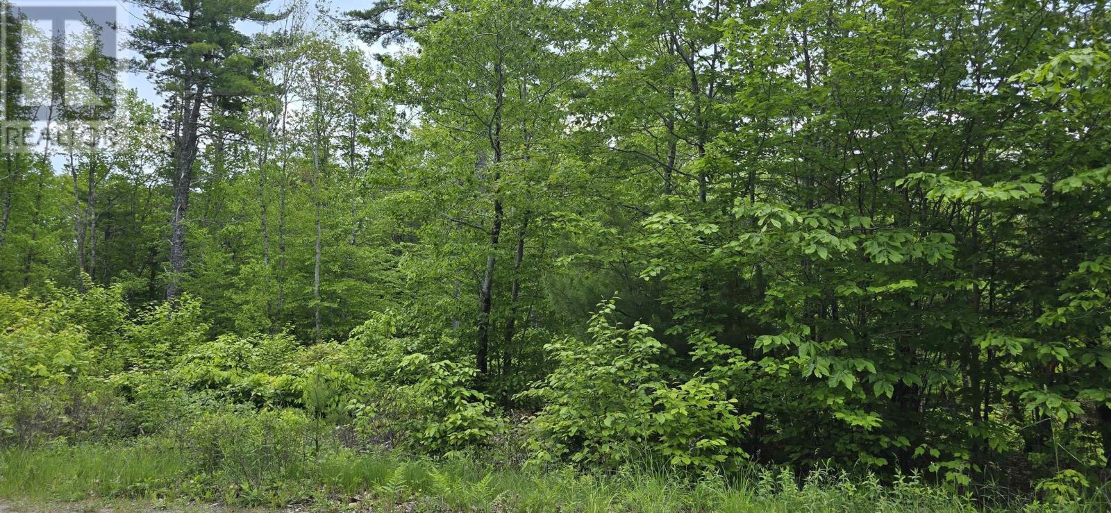 Lot 24-5 East Clifford Road Property Photo 21