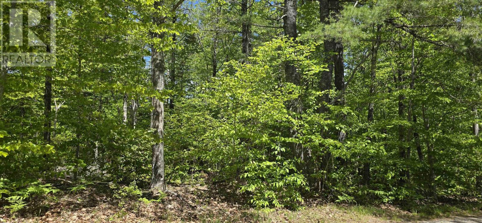 Lot 24-5 East Clifford Road Property Photo 24
