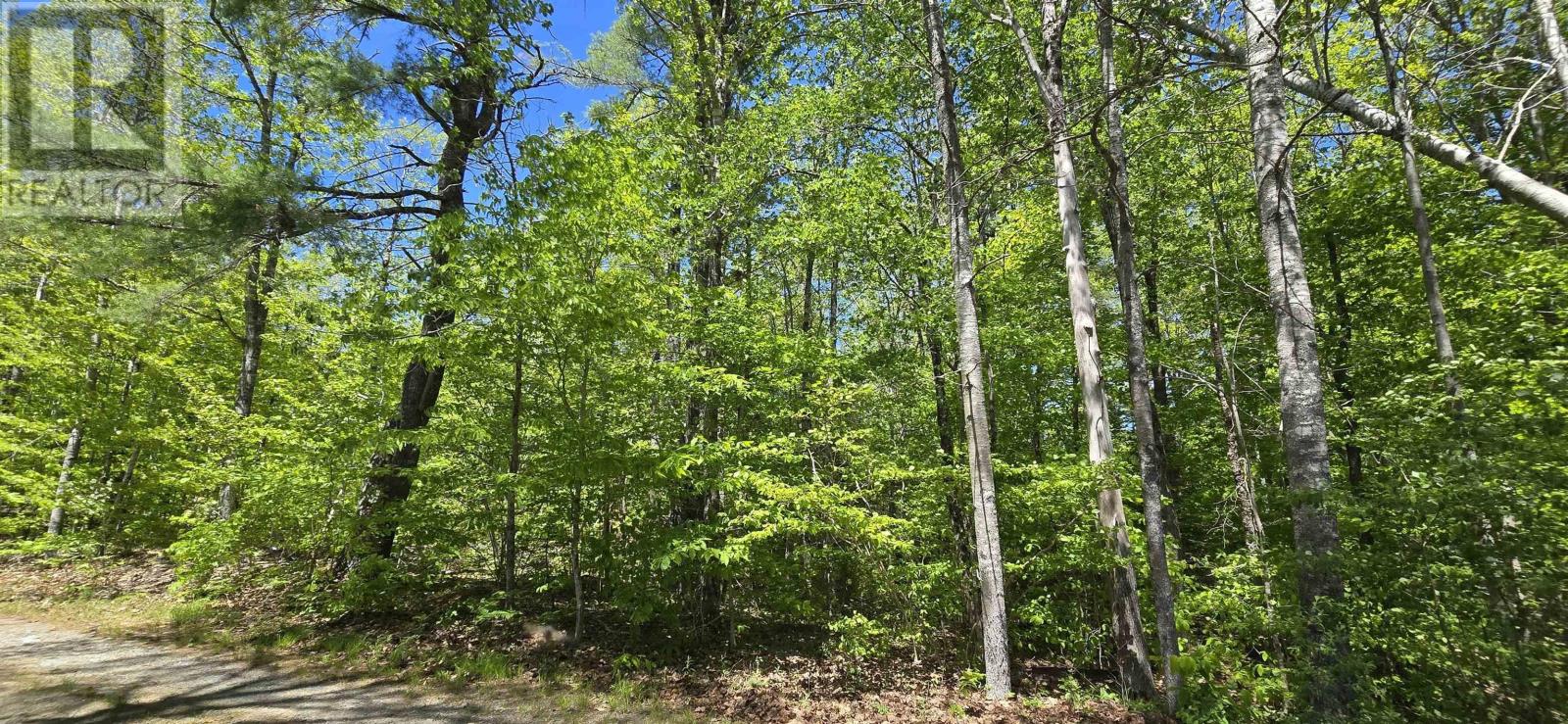 Lot 24-5 East Clifford Road Property Photo 26