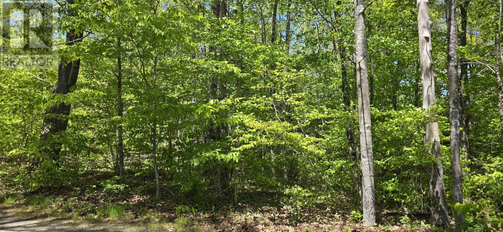 Lot 24-5 East Clifford Road Property Photo 27
