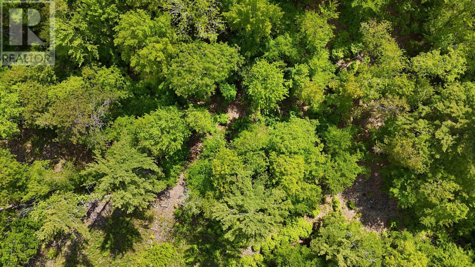 Lot 24-5 East Clifford Road Property Photo 31