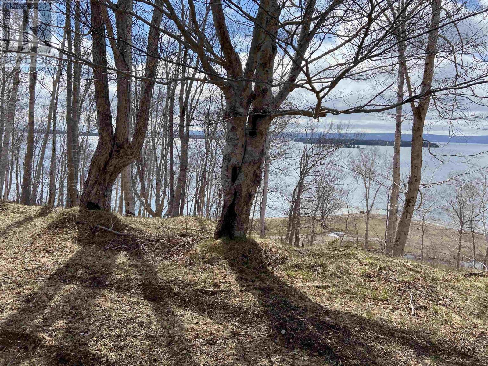 Marble Mountain Road Property Photo 6