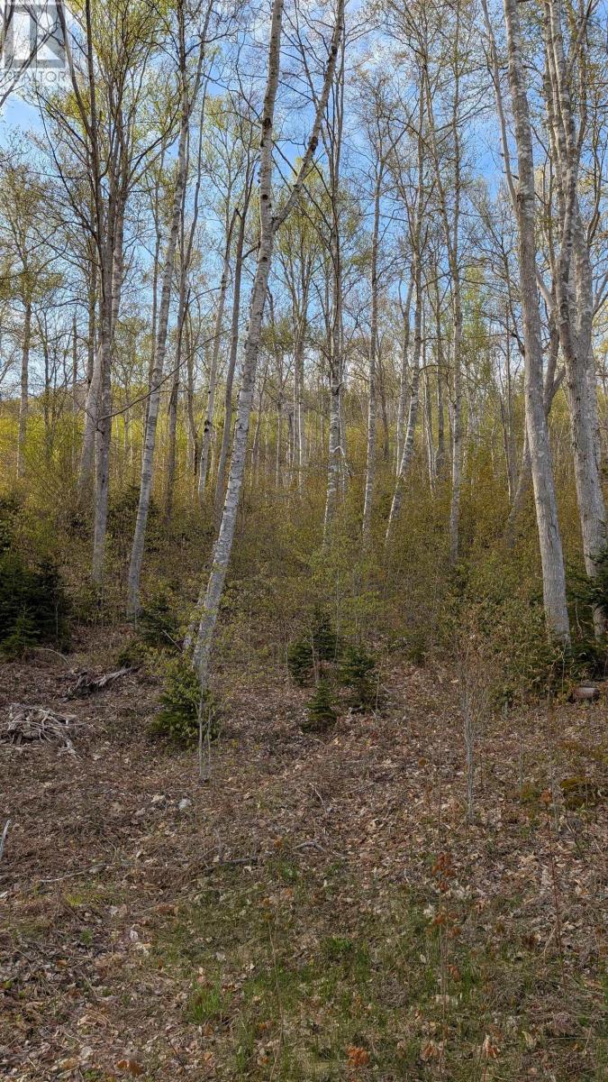 Marble Mountain Road Property Photo 19