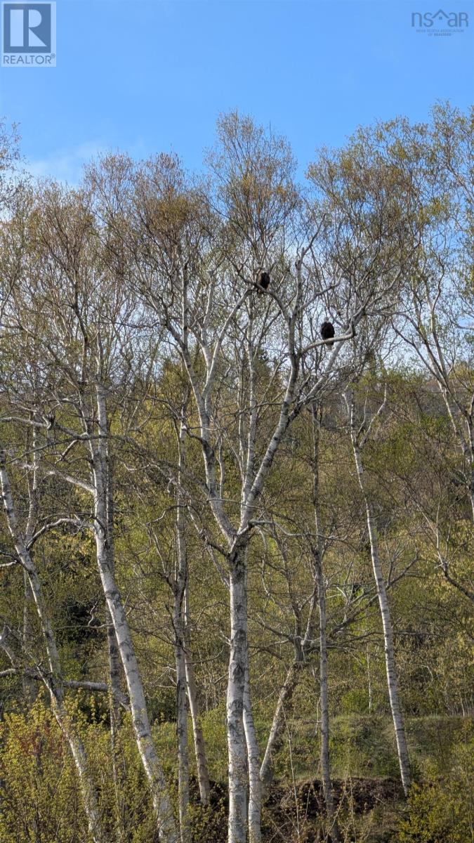 Marble Mountain Road Property Photo 22