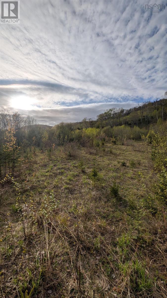 Marble Mountain Road Property Photo 26