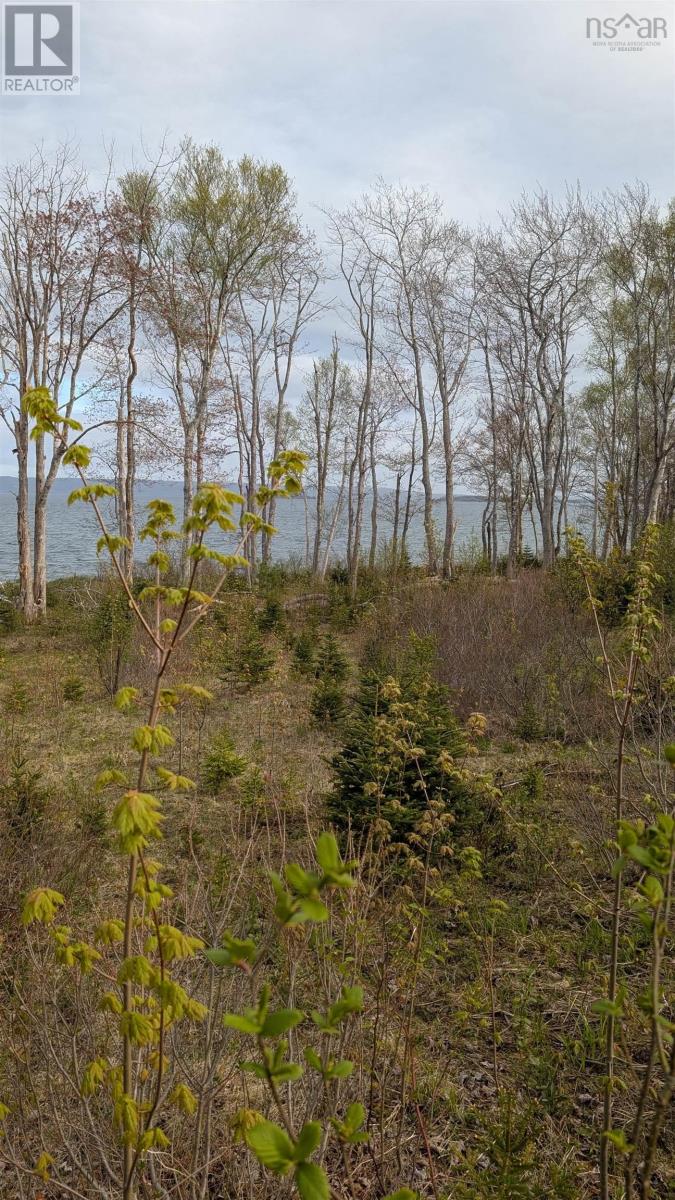 Marble Mountain Road Property Photo 27