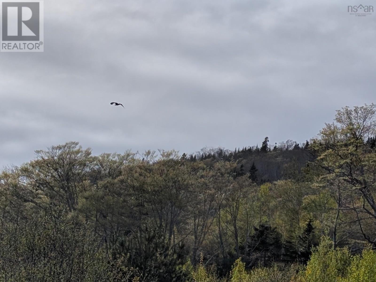 Marble Mountain Road Property Photo 28