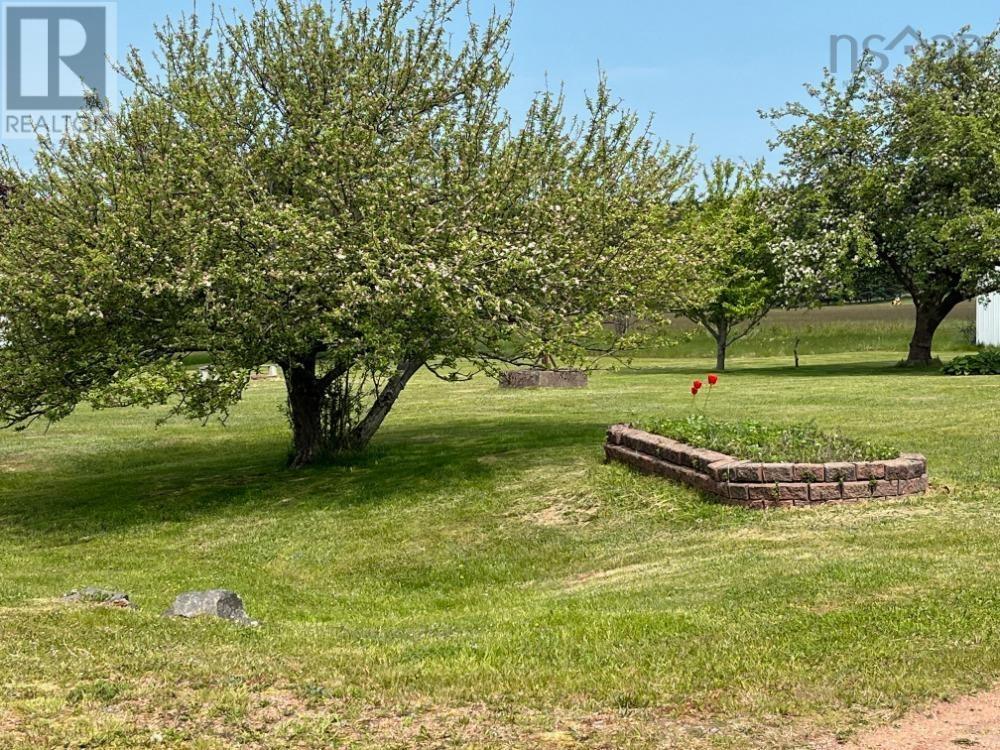 11 Ells Lane Property Photo 35