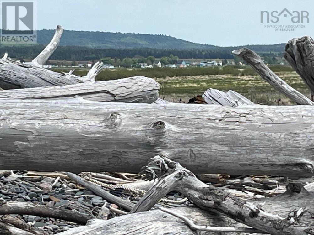 11 Ells Lane Property Photo 50