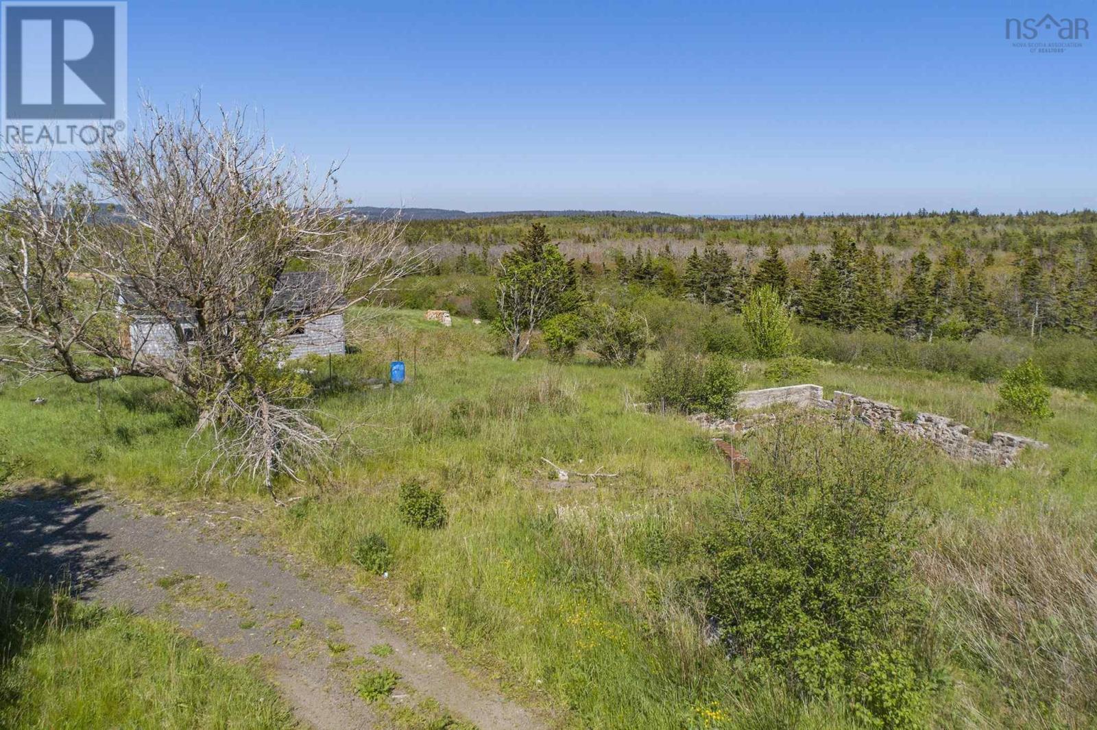 2856 Highway 217 Property Photo 5