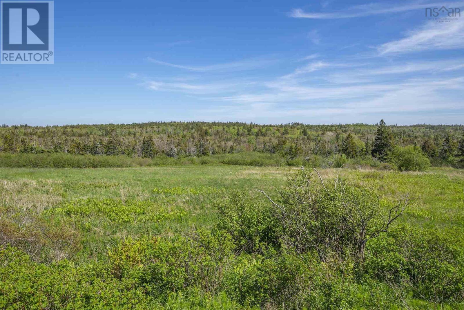 2856 Highway 217 Property Photo 12