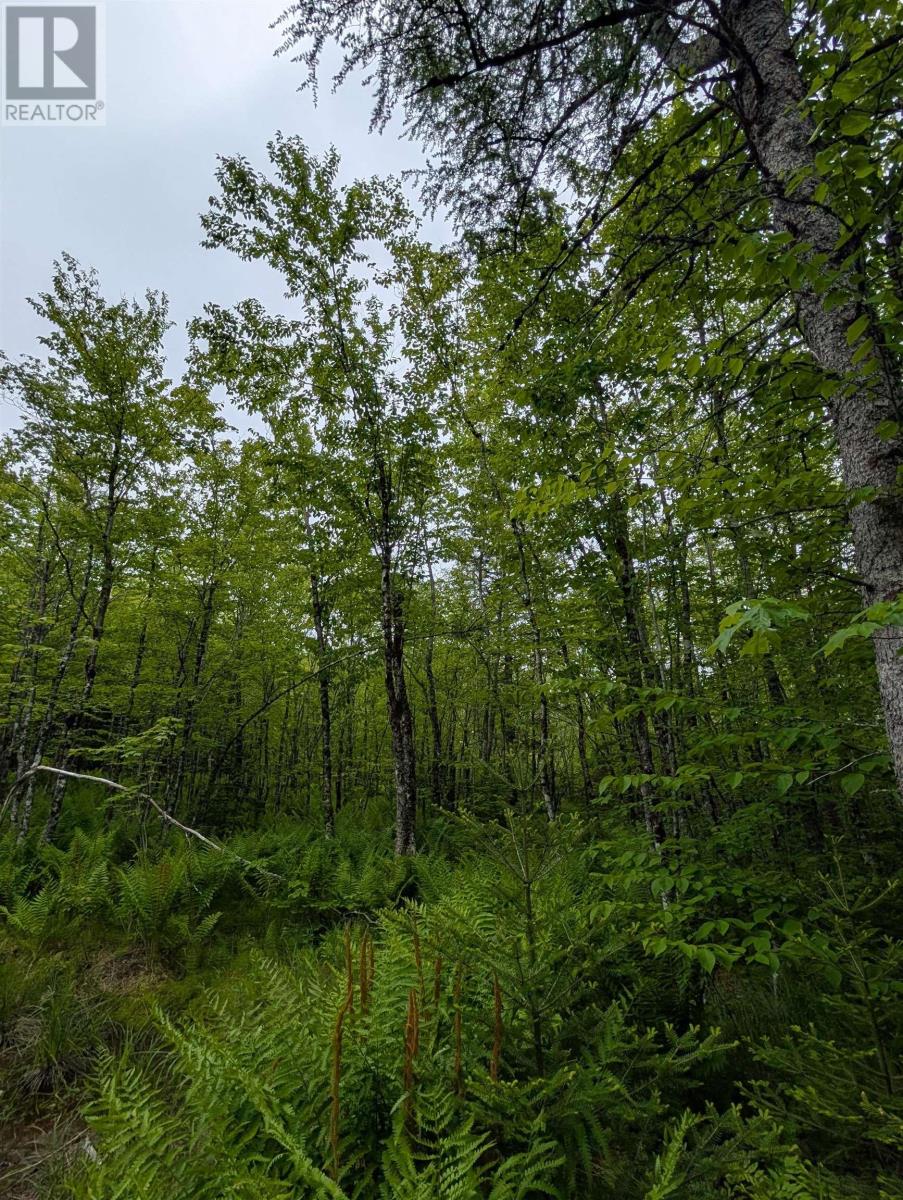 Cm2j Lot Cm2j Mckenzie Lane Property Photo 1