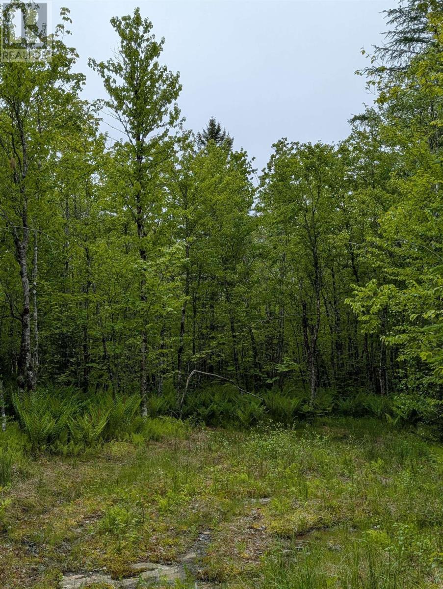 Cm2j Lot Cm2j Mckenzie Lane Property Photo 3