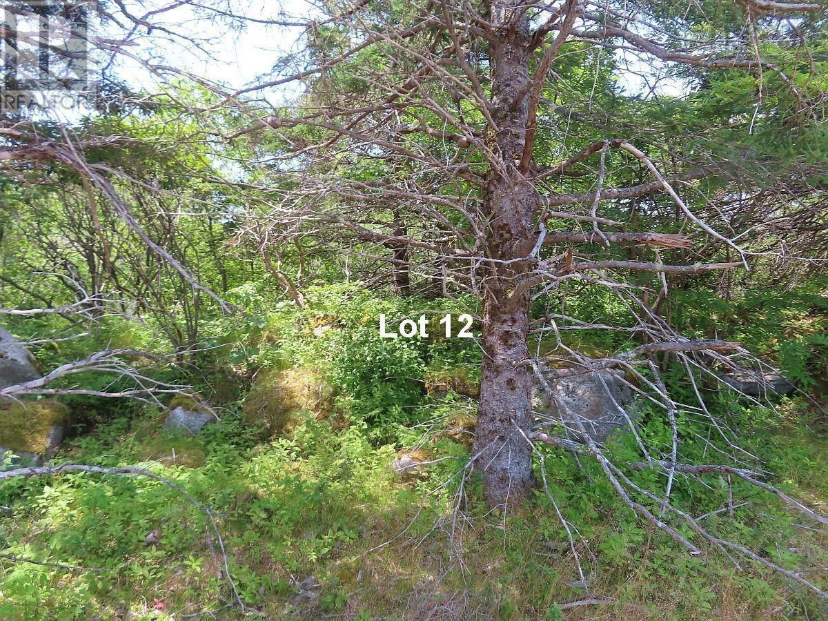Lot 12 316 Hwy (english Harbour) Property Photo 21