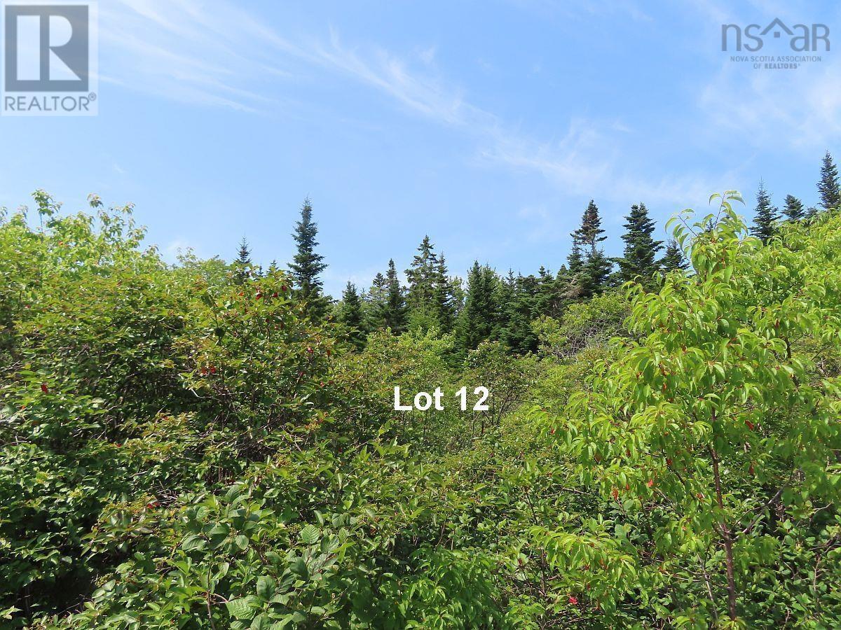 Lot 12 316 Hwy (english Harbour) Property Photo 22