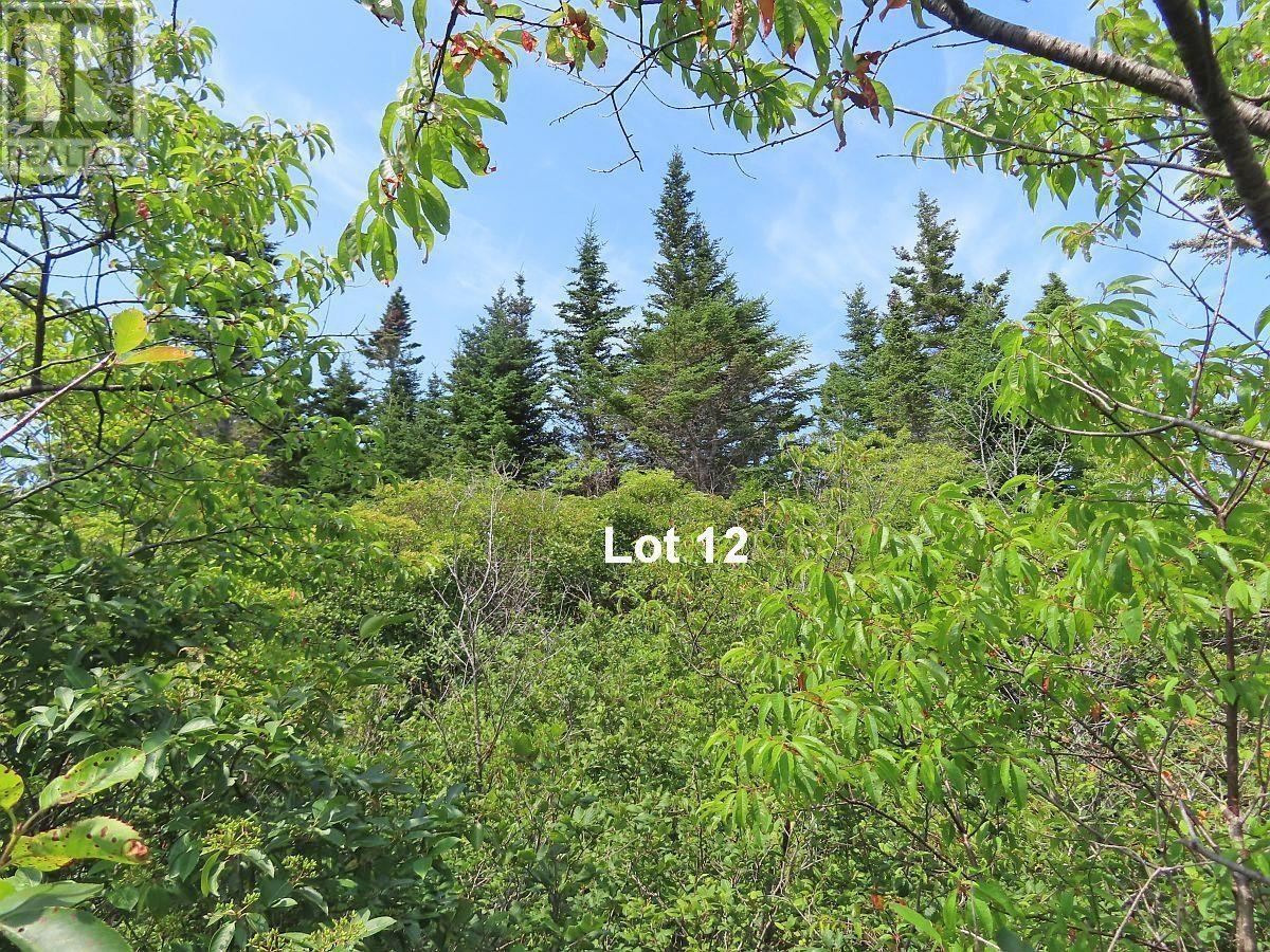 Lot 12 316 Hwy (english Harbour) Property Photo 23
